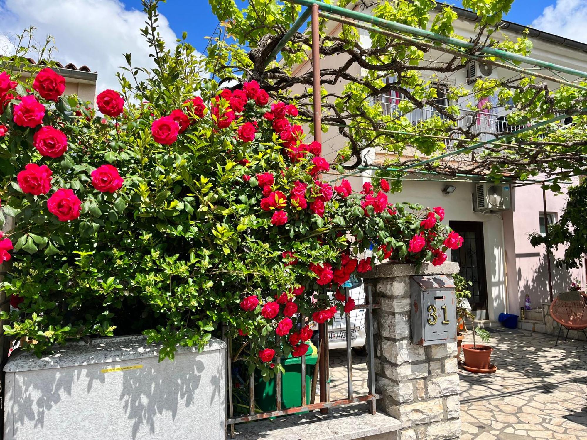 Veronika'S House Pula Exterior photo
